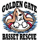 Golden Gate Basset Hound Rescue